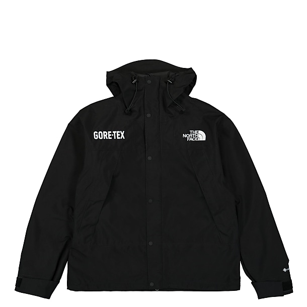 North face gtx mountain jacket best sale